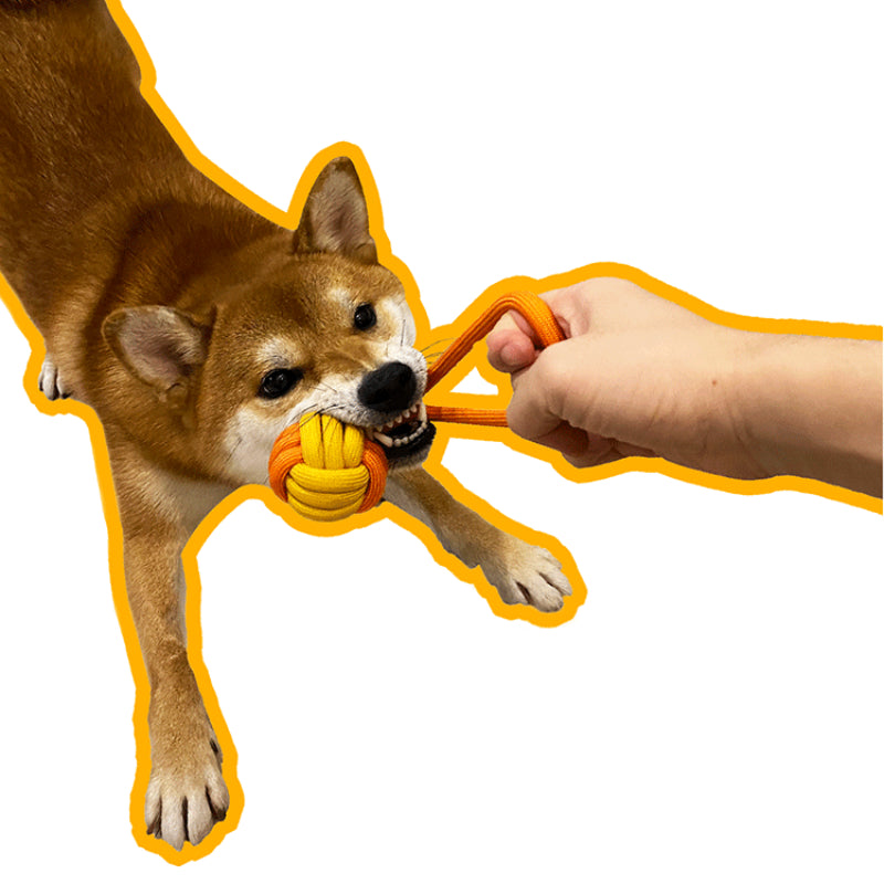 PAWZCITY® Durable Knot Dog Toy