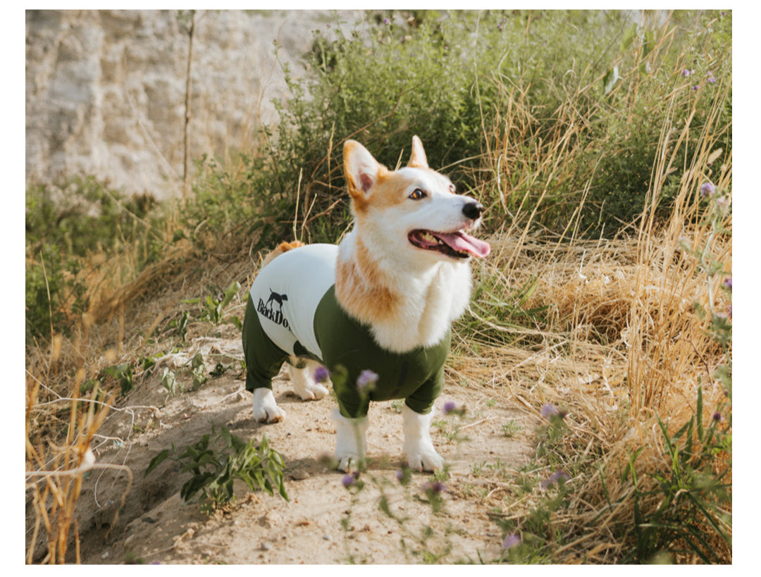 BlackDoggy® Ultra-Thin Cool Sensation Full-Coverage Sun Protection Suit for Dogs