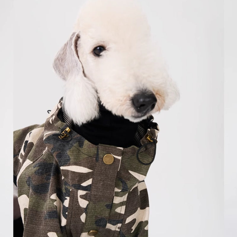 egge® Camouflage Windproof Dog Jacket – Vintage Style for Medium Breeds