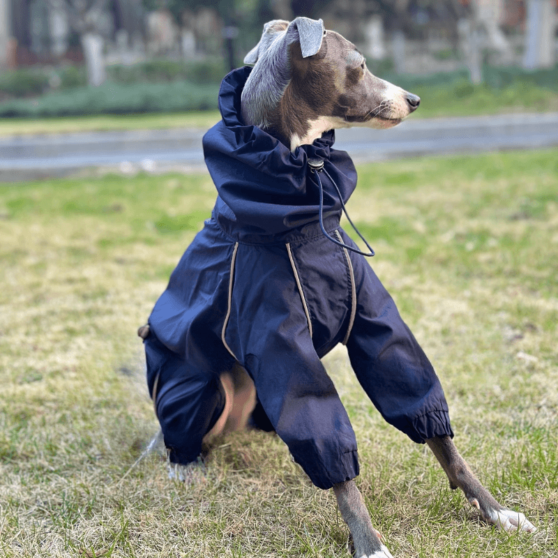 A HUNTING DOG® Dog Waterproof Jacket - KIKOPALS