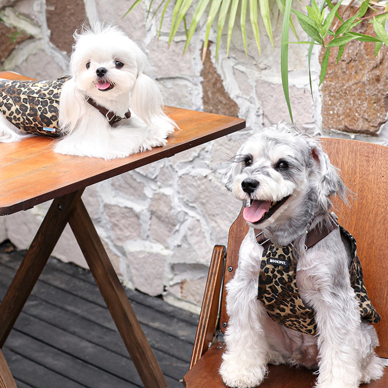 MookiPet® Khaki Leopard Print Suspenders for Small to Medium Dogs