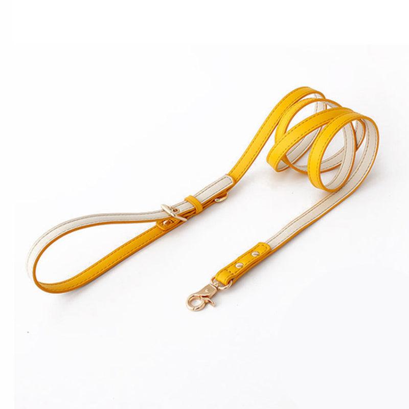 Minly® Dog Leash - KIKOPALS