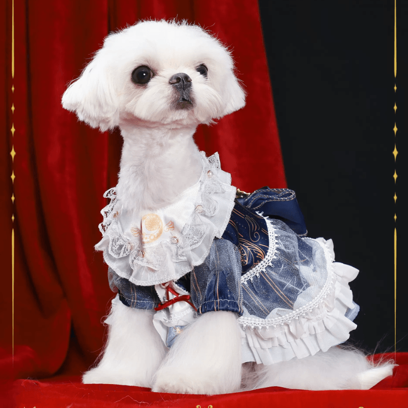 BITEONE® Starry Blue Bow Pet Lolita Dress - KIKOPALS