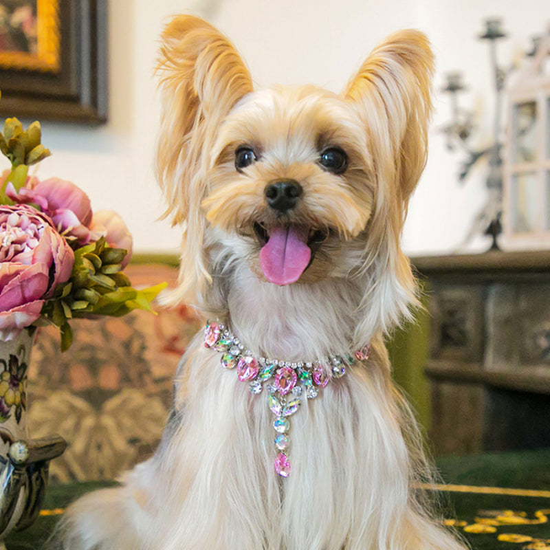 ARKIKA® Pearl Diamond Pet Collar Necklace