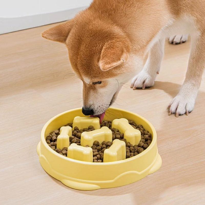 MOLA LUNA® Dog Anti-Gobble Bowl - KIKOPALS