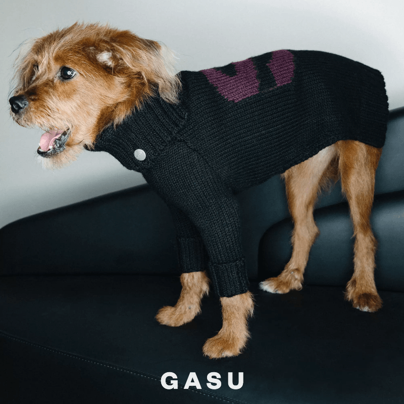 GASU® Chunky Wool Dog Two-Legged Sweater - KIKOPALS