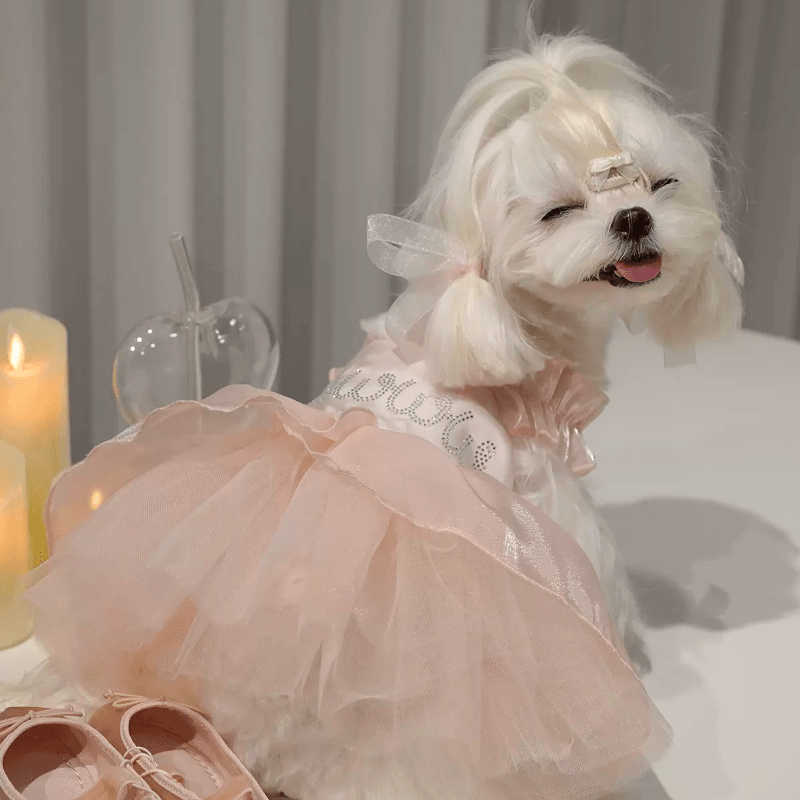 BOWWW® Pet Rhinestone Ballet Princess Dress - KIKOPALS