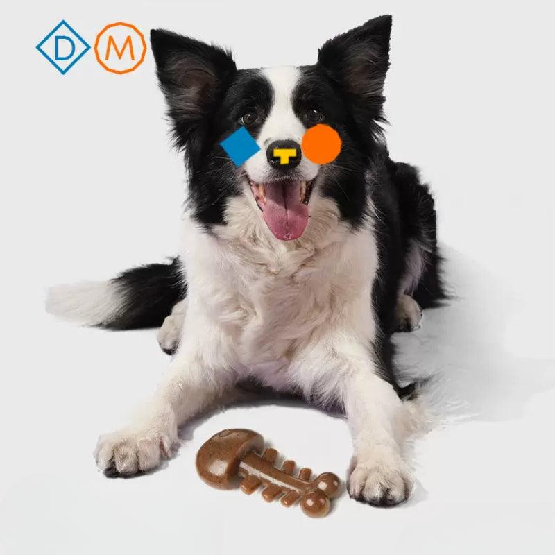 MoovaLab® Fish Bone Dog Chew Toy - KIKOPALS