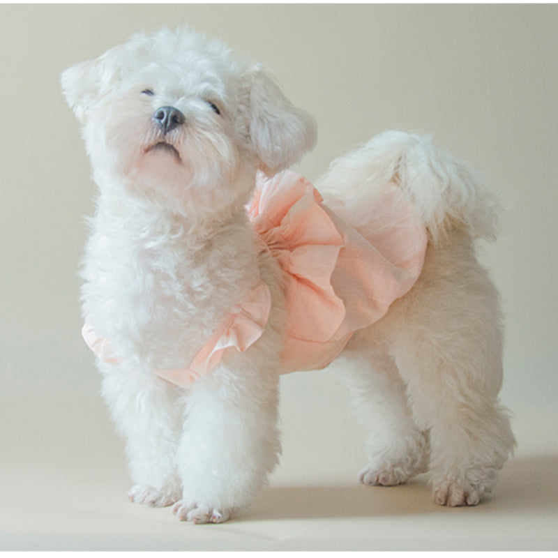 MARSHMALLOW® Floral Bubble Dress for Dogs