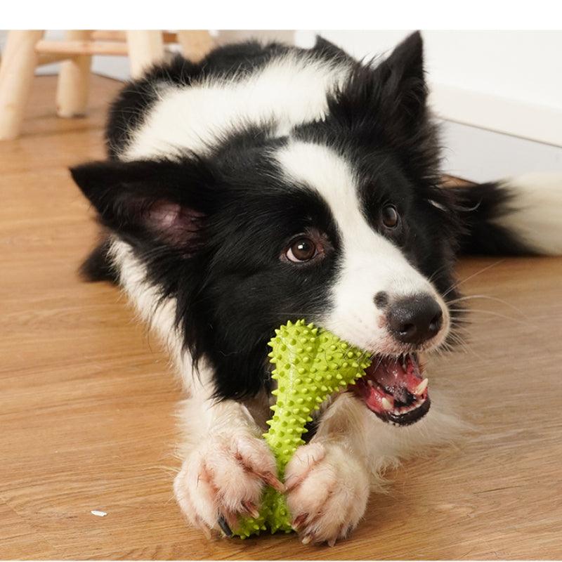 MoovaLab® Durable T-Bone Chew Dog Toy - KIKOPALS