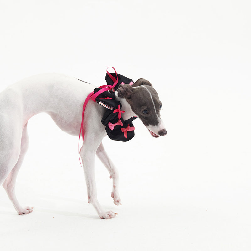 FuzFuz® Adorable Bow Bandana for Dogs & Cats