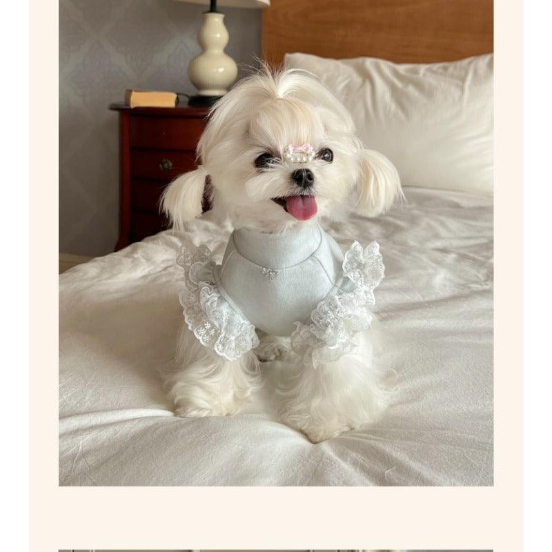 BOWWW®French Girl Knit Bottoming Pet Shirt - KIKOPALS