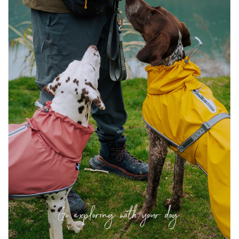 BlackDoggy® Puffer PU Raincoat for Dogs – Waterproof & Windproof