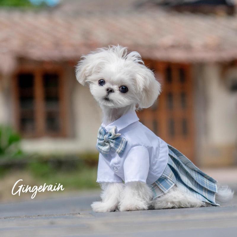 GINGERAIN® Blue JK Pet Dress - KIKOPALS