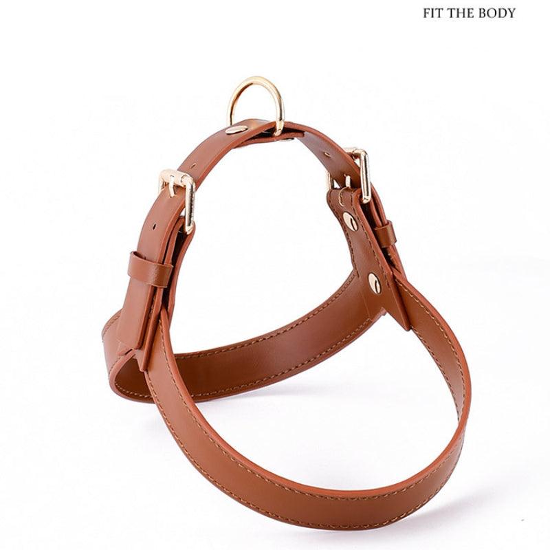 Minly® Leather Dog Harness & Leash Set - KIKOPALS