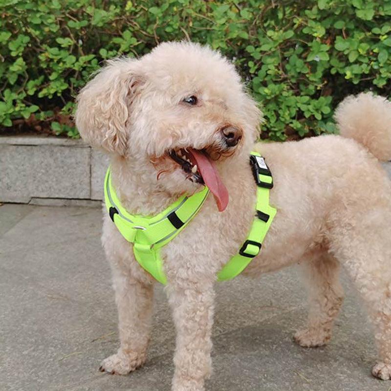 KIKOPALS® Adjustable No-Pull Y-Shape Dog Harness - KIKOPALS