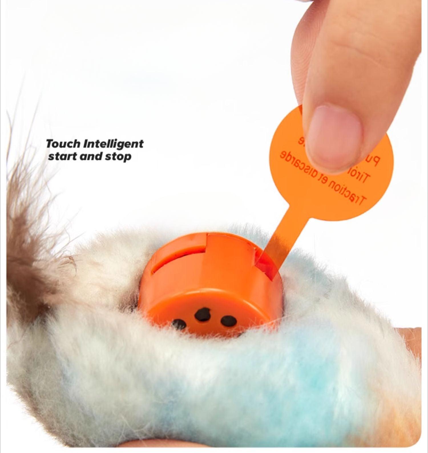 FOFOS® Happy Bird Sound Cat Toy - KIKOPALS