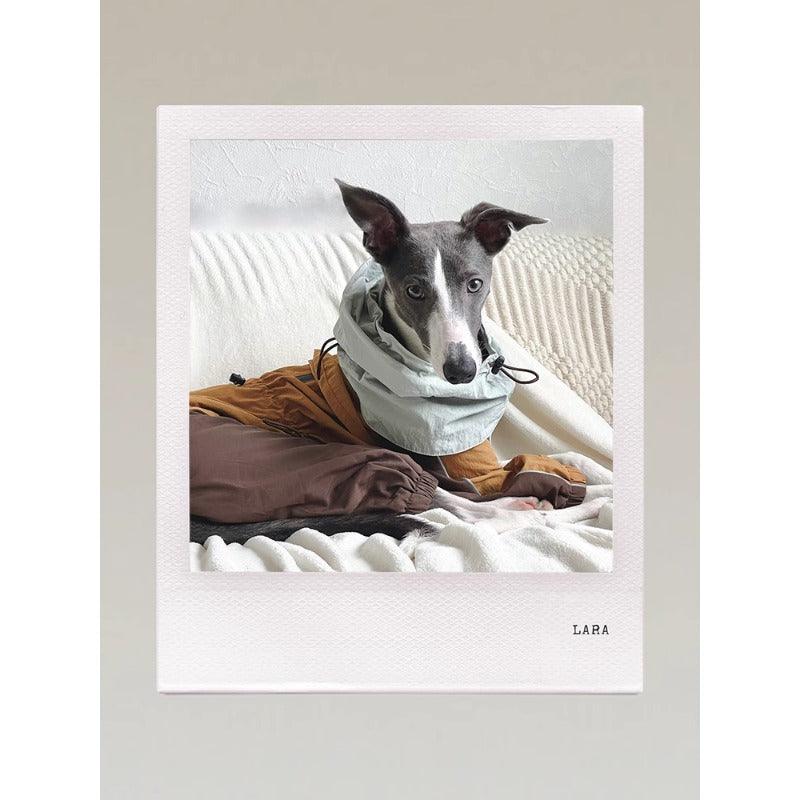 GASU® Waterproof Detachable Dog Rain Hat - KIKOPALS