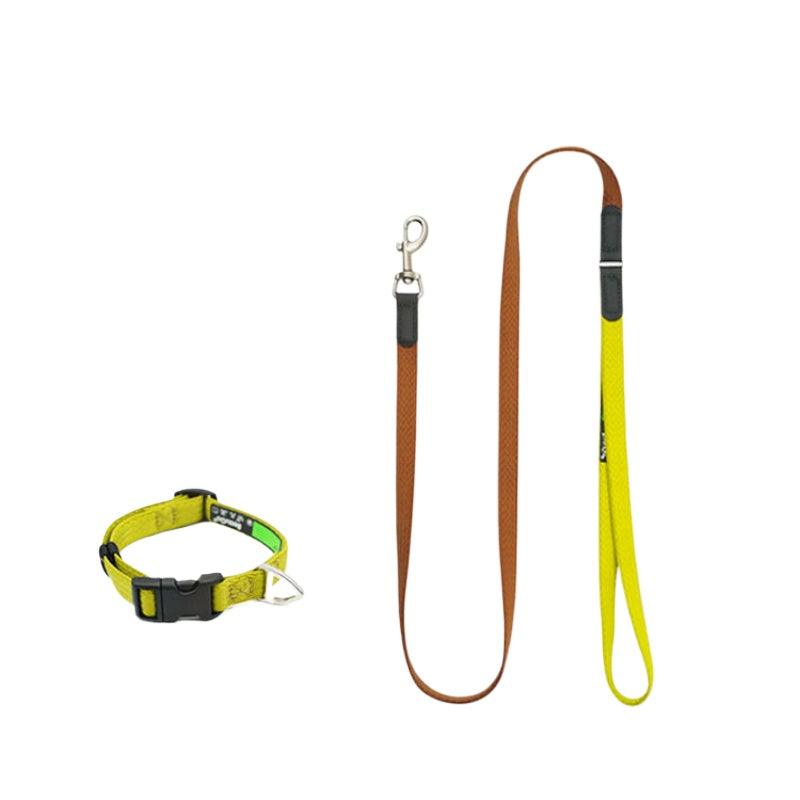 BeauGo® Pet Collar & Leash Kit - KIKOPALS