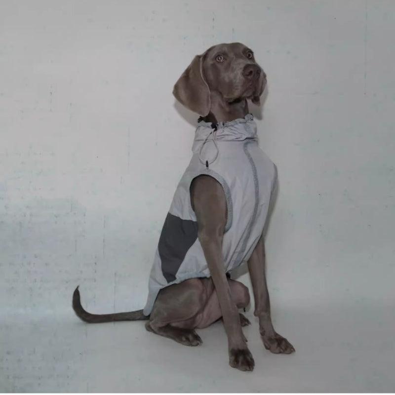 BBPRODUCTION® Cooling Sun Protection Dog Vest - KIKOPALS