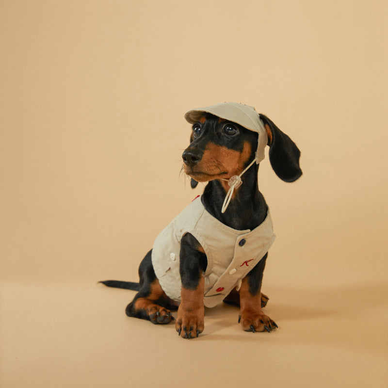 KIYOTT® Lightweight Dirt-Resistant Dog Vest