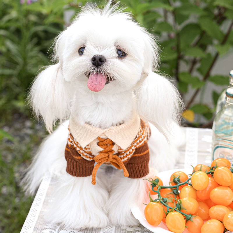 MookiPet® Retro Striped Sweater for Dogs