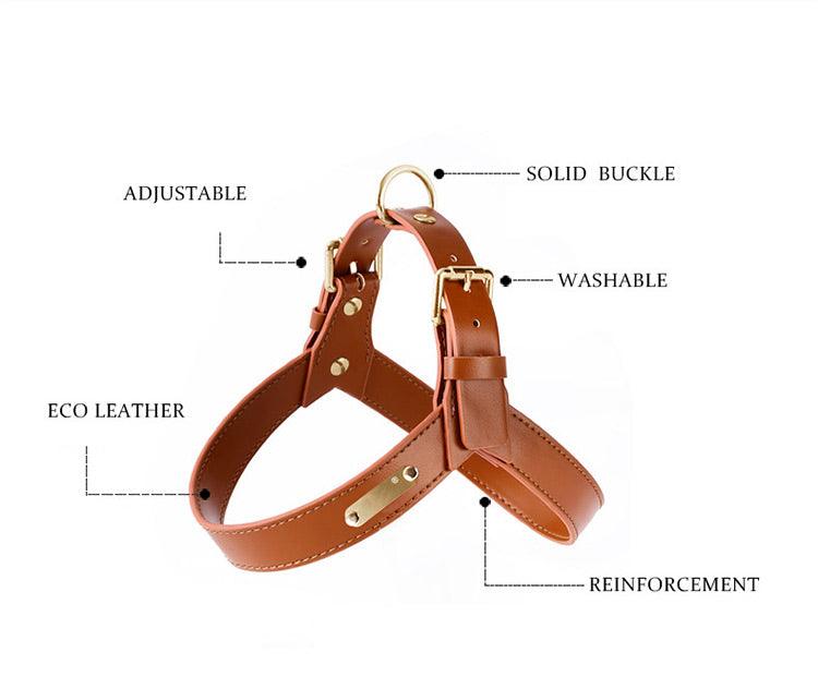 Minly® Leather Dog Harness & Leash Set - KIKOPALS