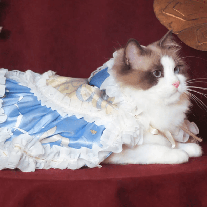 BITEONE® Blue Lolita Cape for Cats - KIKOPALS