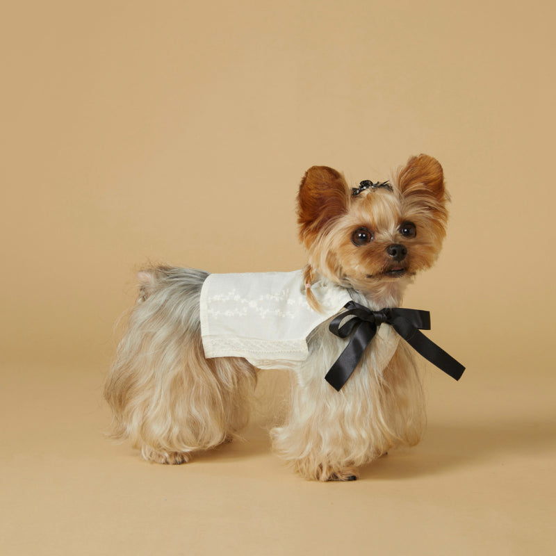 KIYOTT®  Vine Lady Simple Princess Dress for Dogs