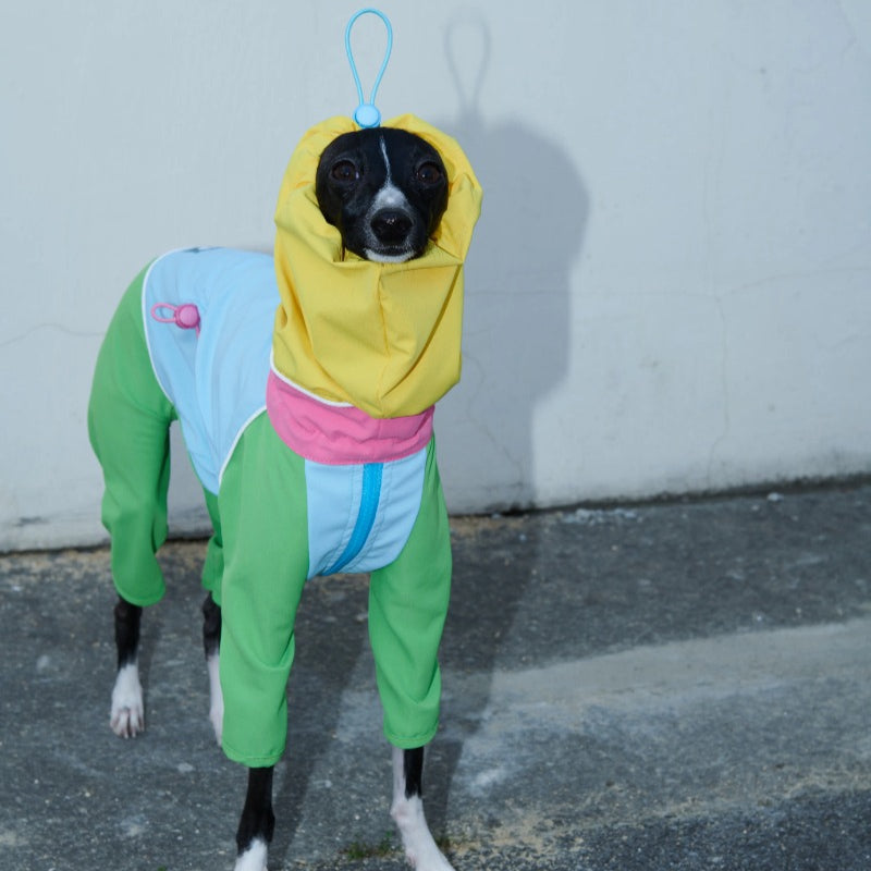 iiNeed® Waterproof Jacket Color-Block for Dogs