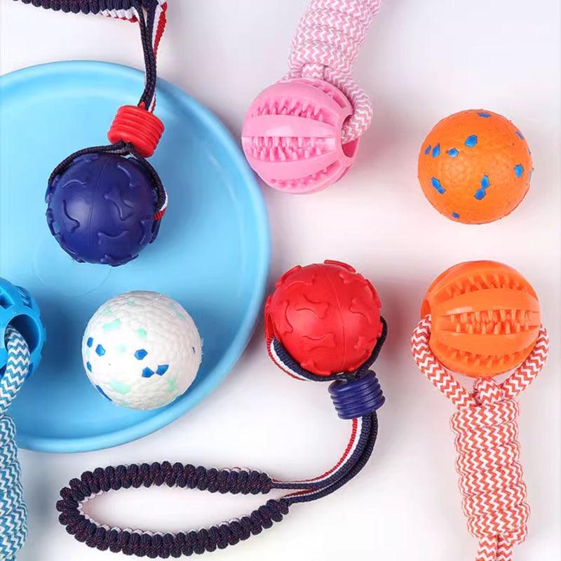 WomirCare® Bone Ball & Burst Ball Dog Training Interactive Set - KIKOPALS