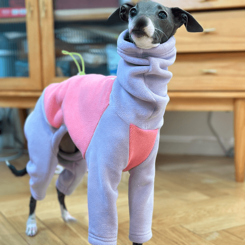 A HUNTING DOG® Dog Thickened Double-sided Fleece Hoodie - KIKOPALS