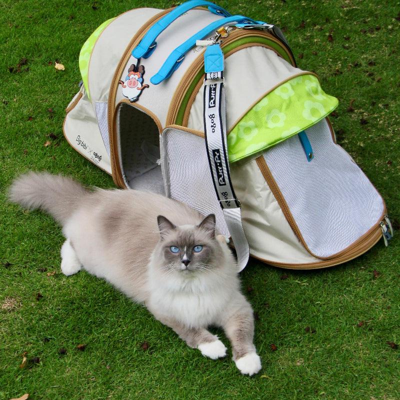 Big bibi® Convertible Pet Backpack Tent - KIKOPALS