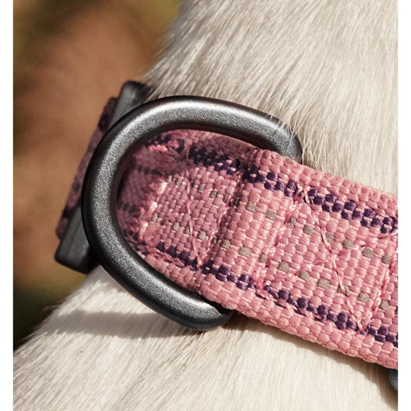 KITTY YOYO® Dog Collar - KIKOPALS