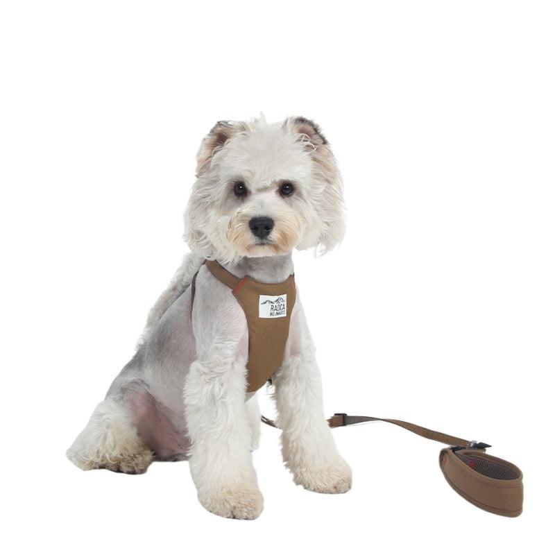 Radica® Pet Harness & Leash Set - KIKOPALS