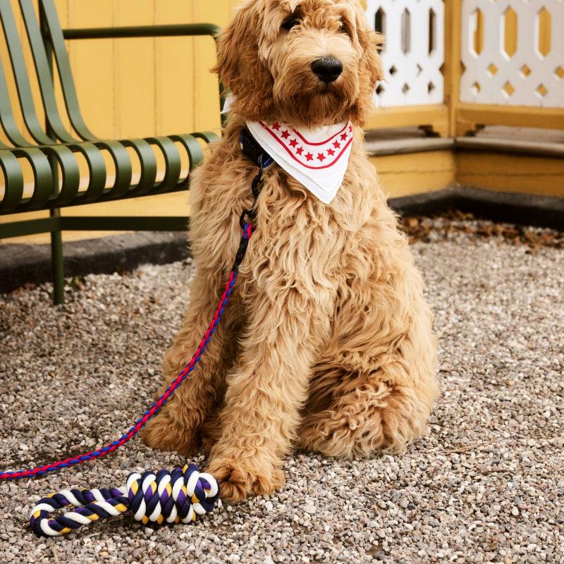 HAY® Durable Dog Rope Chew Toys - KIKOPALS