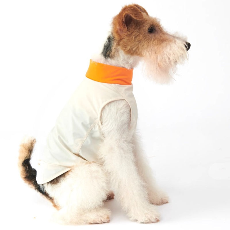 Nuoz® Pet Cooling Base Layer with Color Block Design for Dogs