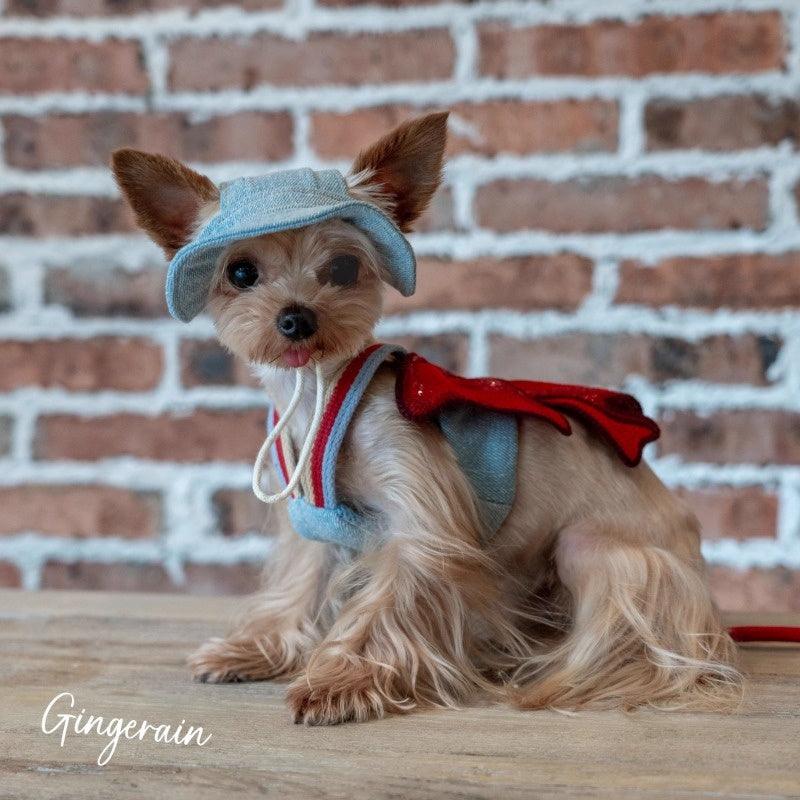 GINGERAIN® Red Bow Denim Dog Harness Leash & Hat Kit - KIKOPALS