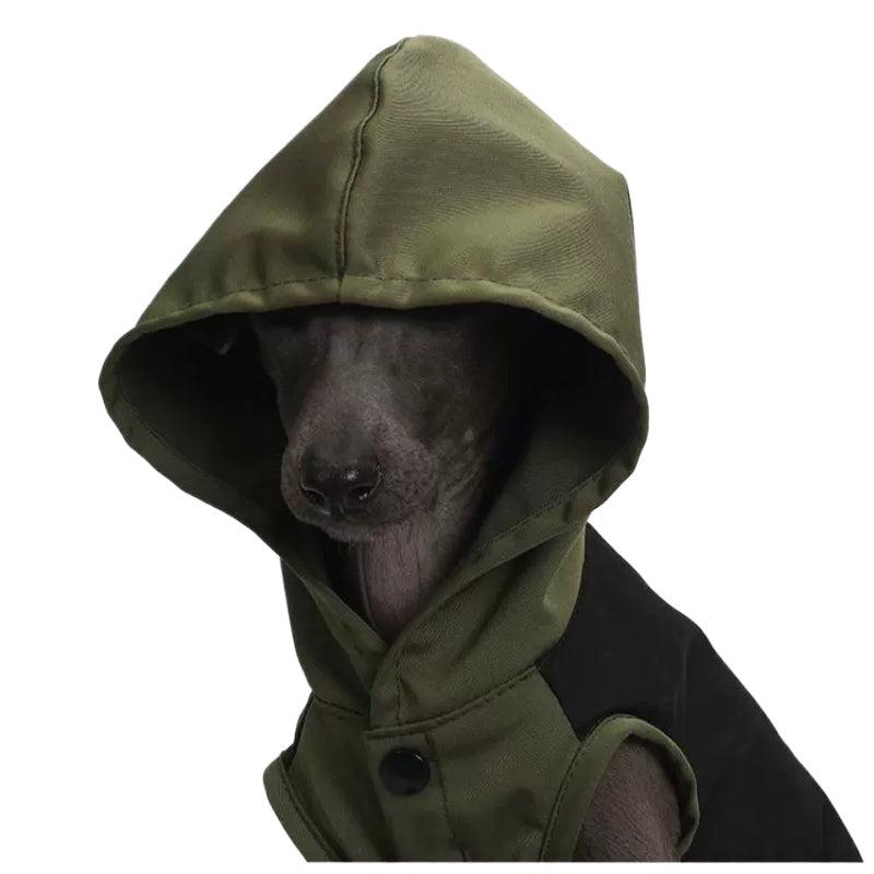 BITEONE® Black/Green Dog Hoodie - KIKOPALS