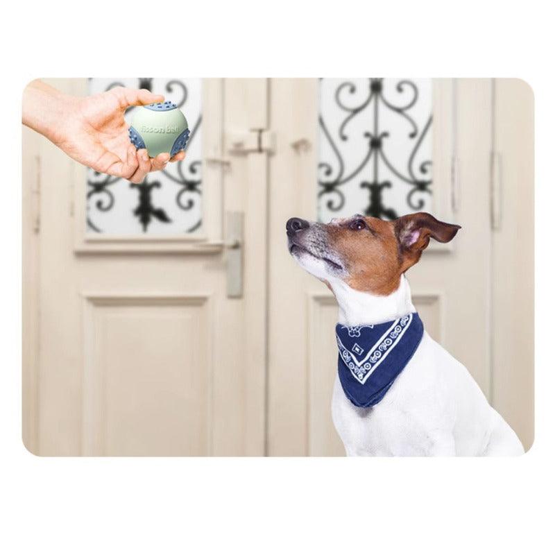 MoovaLab® Squeaky Ball Chew Dog Toy - KIKOPALS