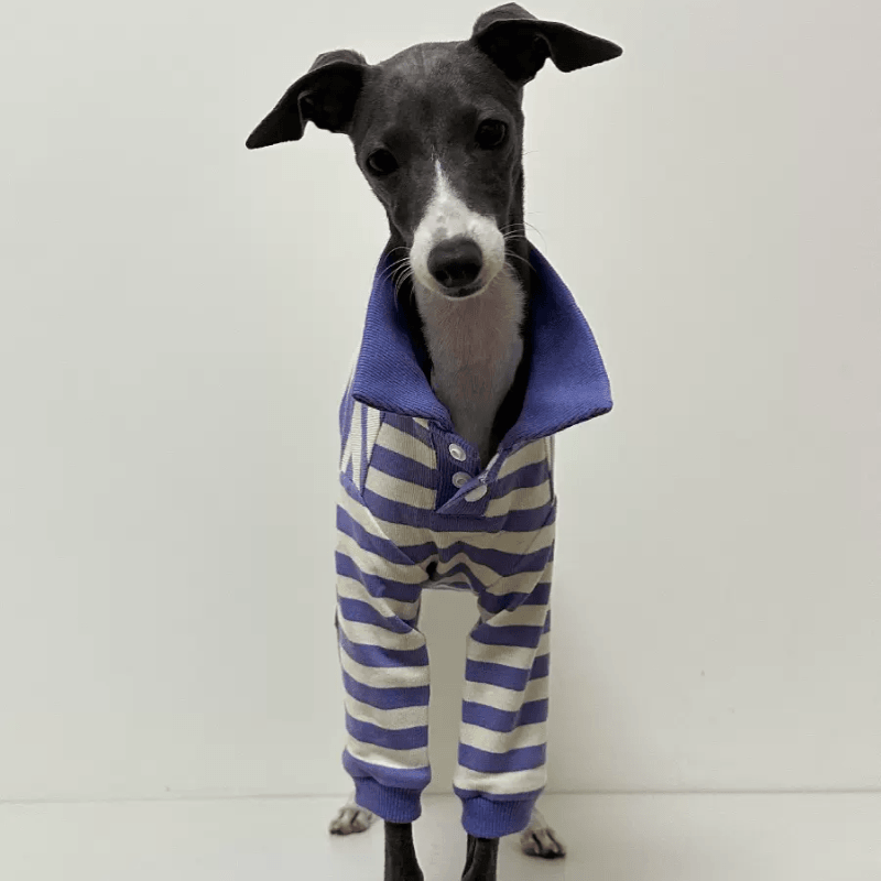 A HUNTING DOG® Cotton Dog Polo Shirt - KIKOPALS