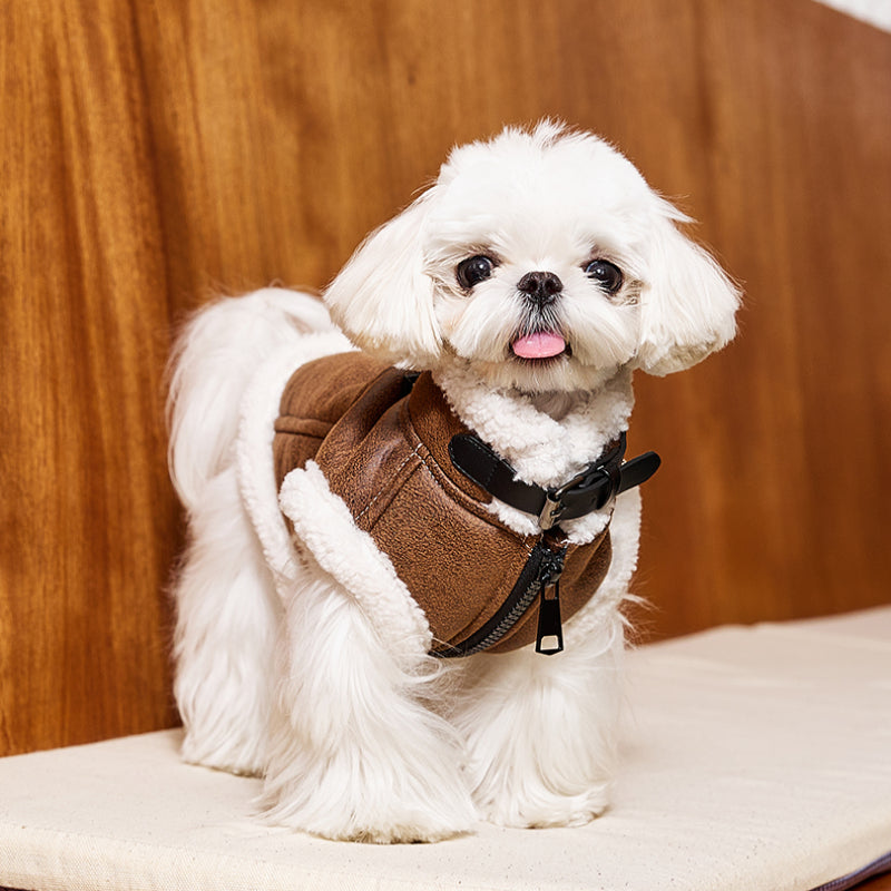 MookiPet® Suede Motorcycle Jacket for Dogs