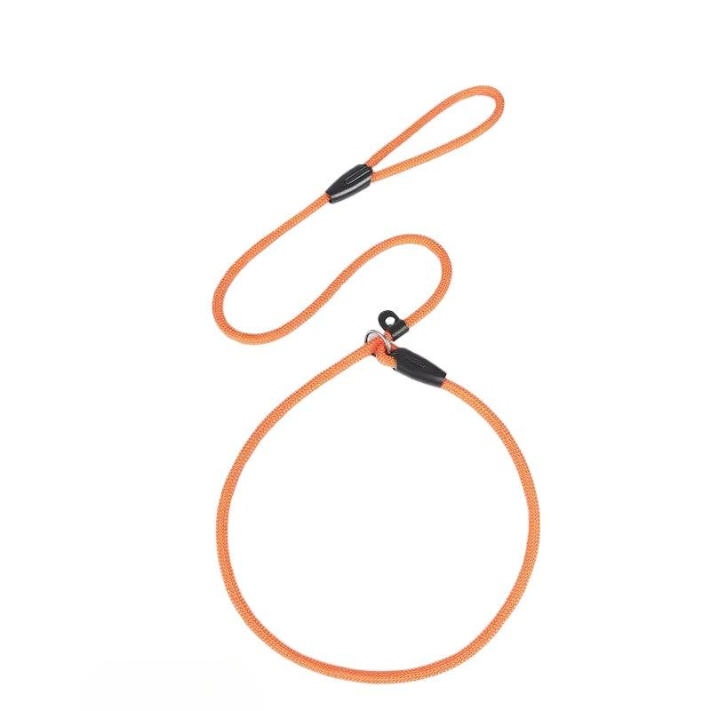 WomirCare® P-chain Dog Leash - KIKOPALS