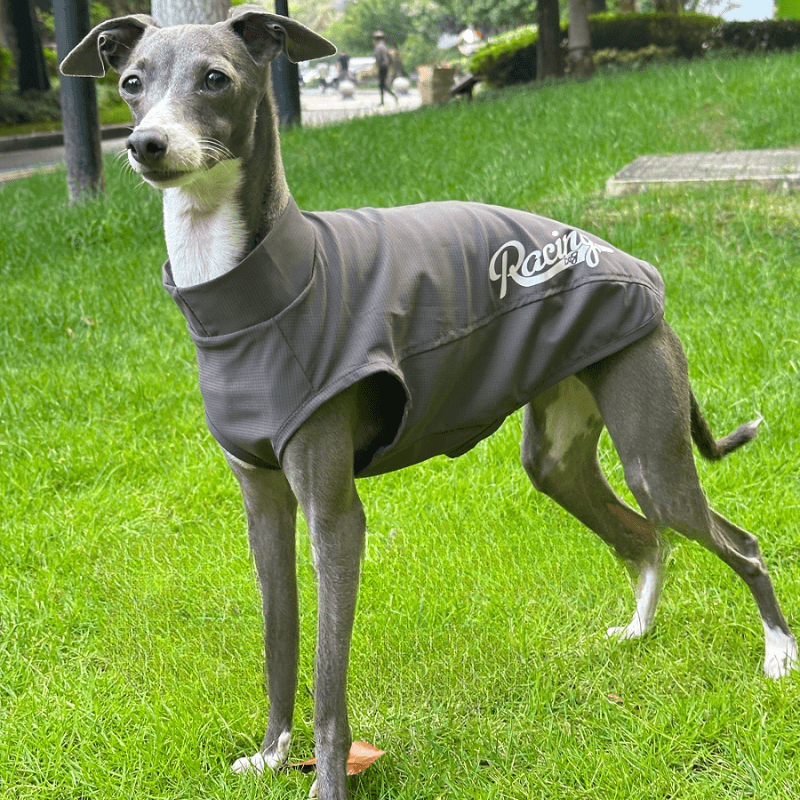 A HUNTING DOG® Dog Cooling Vest - KIKOPALS