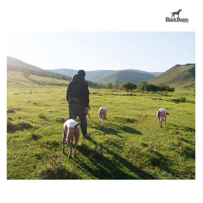 BlackDoggy® Merino Four-Legged Warmth Suit for Dogs