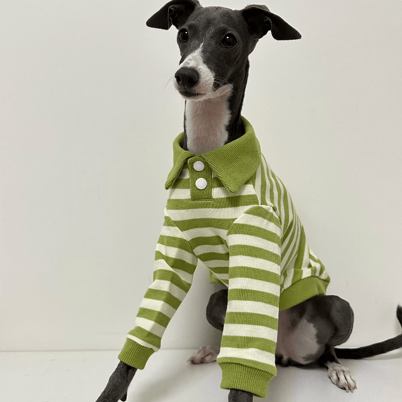 A HUNTING DOG® Blue/White Dog Polo Shirt - KIKOPALS