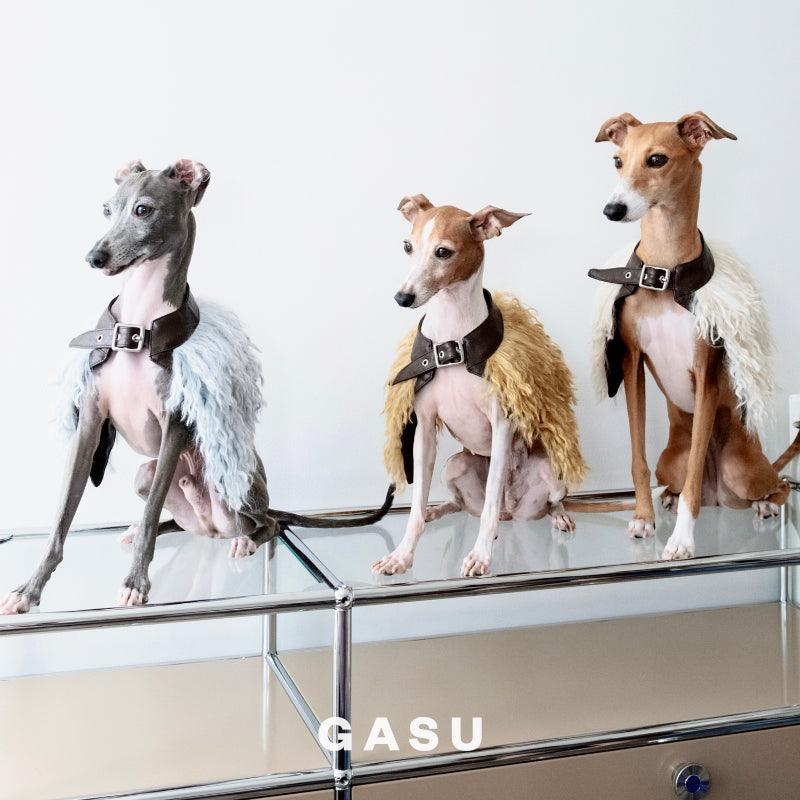 GASU® Leather Dog Cape - KIKOPALS