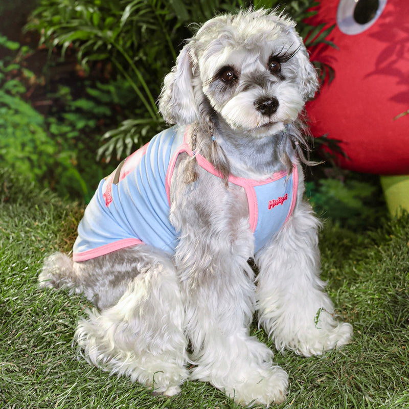 MookiPet® Breathable Blue Vest for Dogs & Cats