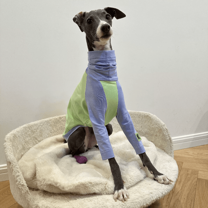 A HUNTING DOG® Dog High-neck Color-blocked T-shirt - KIKOPALS