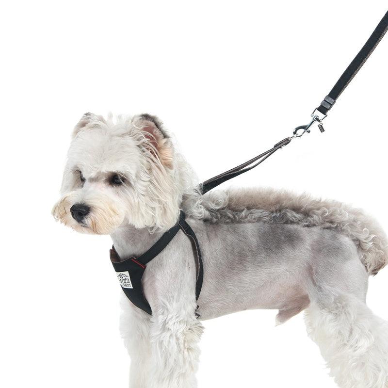 Radica® Pet Harness & Leash Set - KIKOPALS